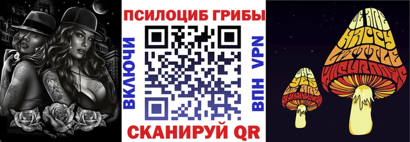 дарнет шоп  Нарткала  blacksprut ССЫЛКА  Галлюциногенные грибы мицелий 