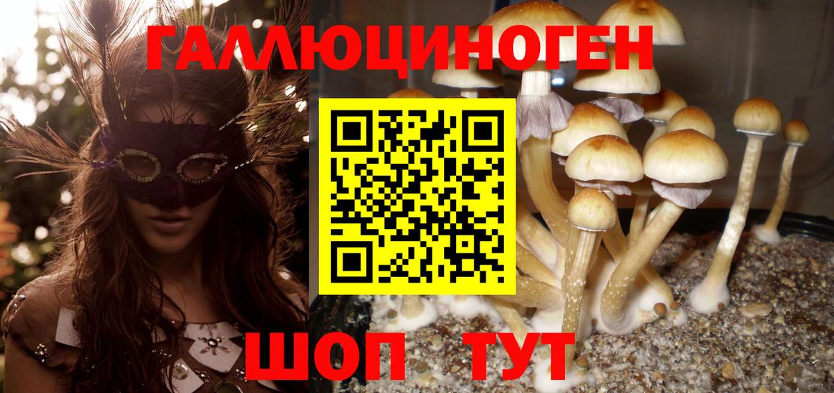 Псилоцибиновые грибы GOLDEN TEACHER Нарткала